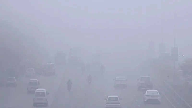 fog