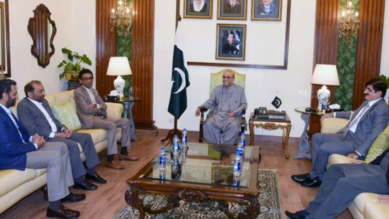 MQM-P delegation meets with President Asif Zardari