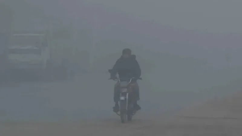 Dense-fog