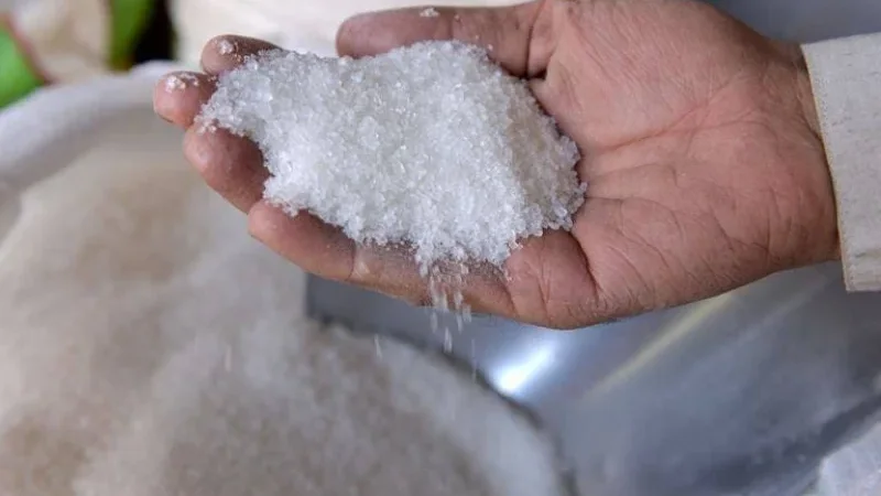 Sugar