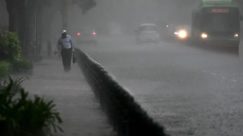 rain