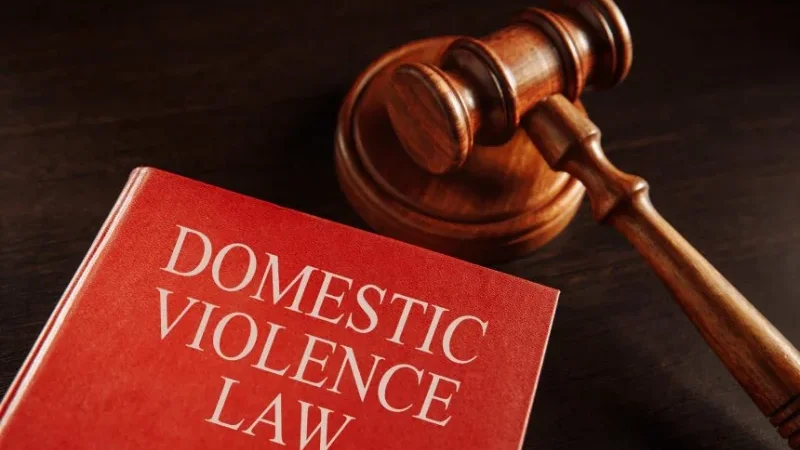 New domestic violence