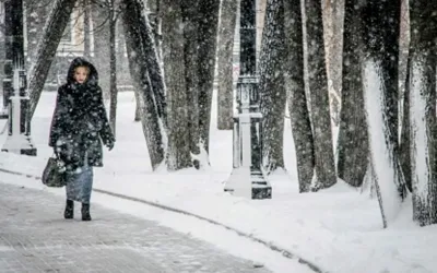 Moscow witnesses heaviest snowfall in over 200 years