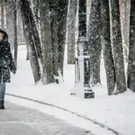 Moscow witnesses heaviest snowfall in over 200 years