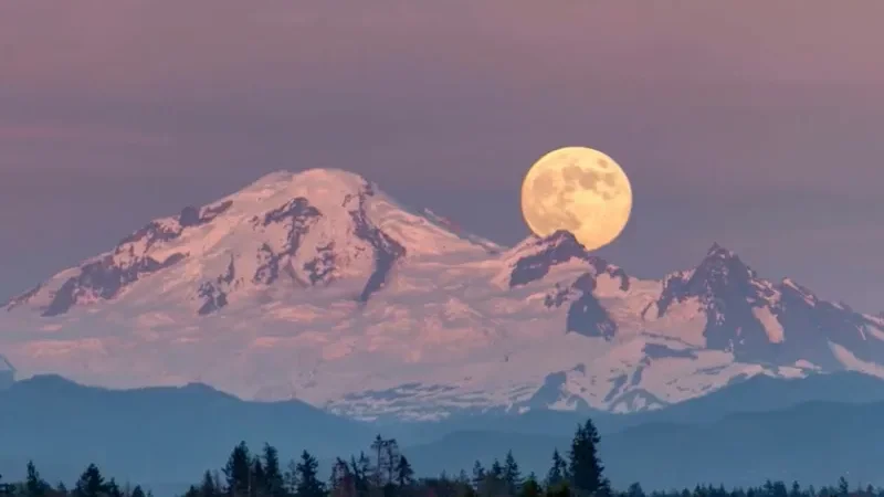 Snow-Moon