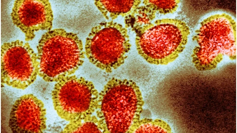 Experts warn smallpox