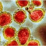 Experts warn smallpox could trigger future global pandemic