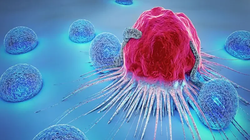 How does AI detect breast cancer? Here's what study says