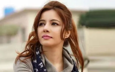 Singer Rabi Pirzada harassed in Karachi, police arrest suspect