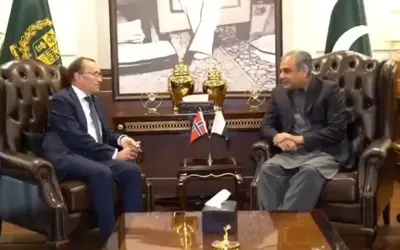 Afghan soil being used for terrorism against Pakistan, says Naqvi