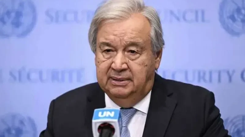 UN (3)