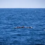 53 dead after boat capsizes off Libya