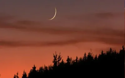 Ramadan 2026: Official start date announced