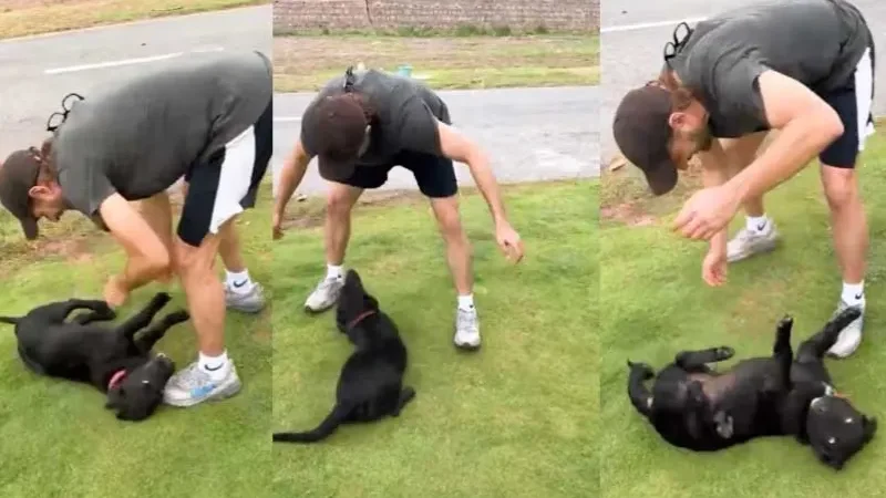 Shahid Afridi’s dog Max found safe at home - Shahid Afridi, Shahid Afridi’s dog Max