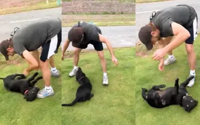 Shahid Afridi’s dog Max found safe at home