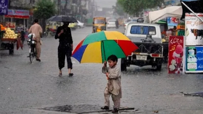 rain (3)