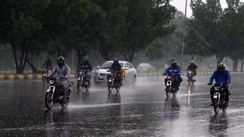 rain