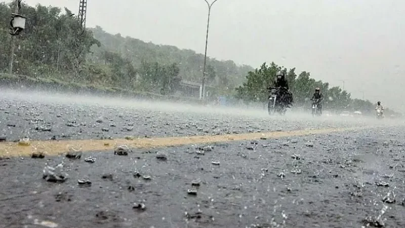 Rain