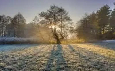 Pakistan faces cold mornings amid predominantly dry weather