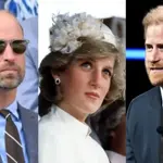 Prince William and Harry will reunite for Diana's 30th death anniversary