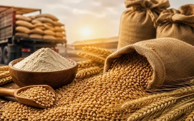 Pakistan moves to import 1 million tons of wheat