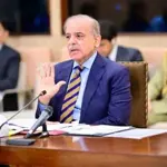 PM Shehbaz chairs high-level meeting on petroleum products