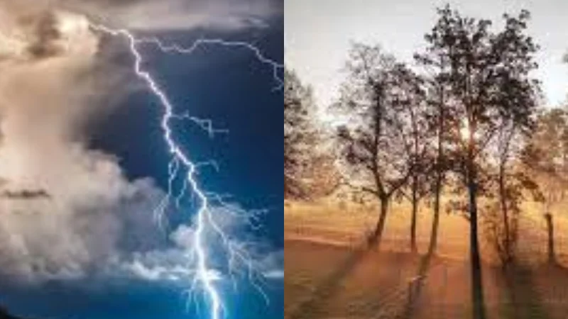 Pakistan weather