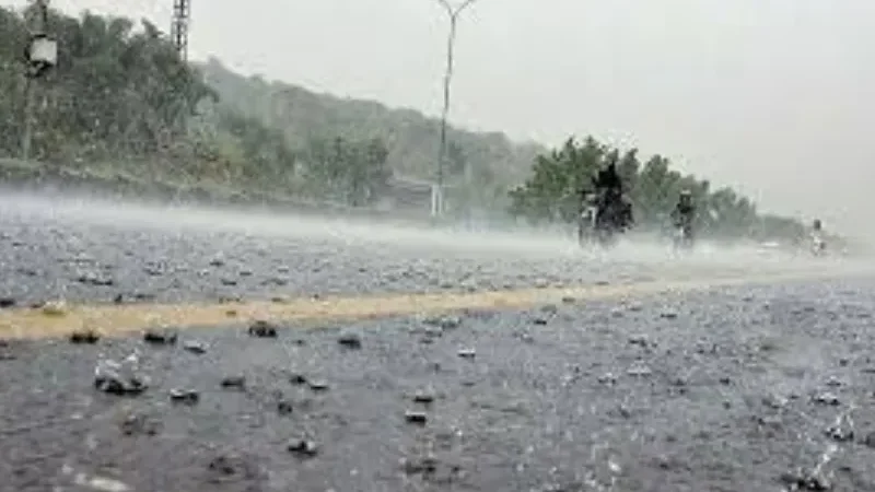 Weather