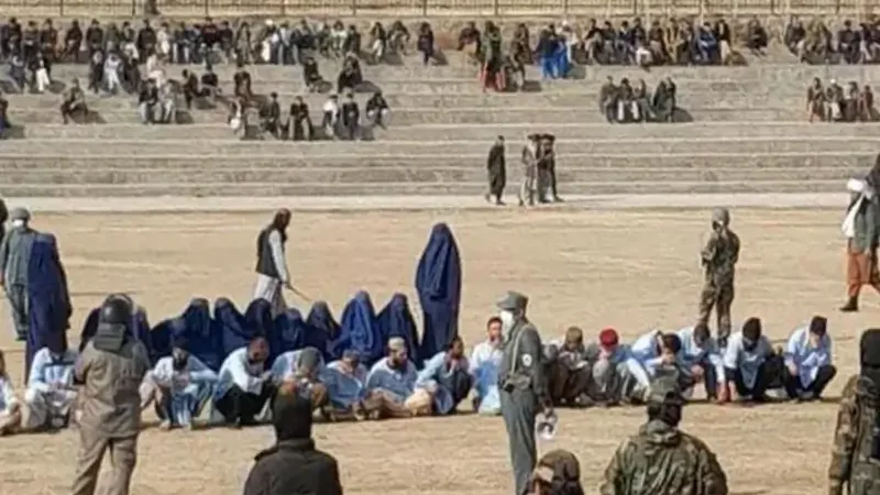 Taliban flog nearly 1,200 people in one year