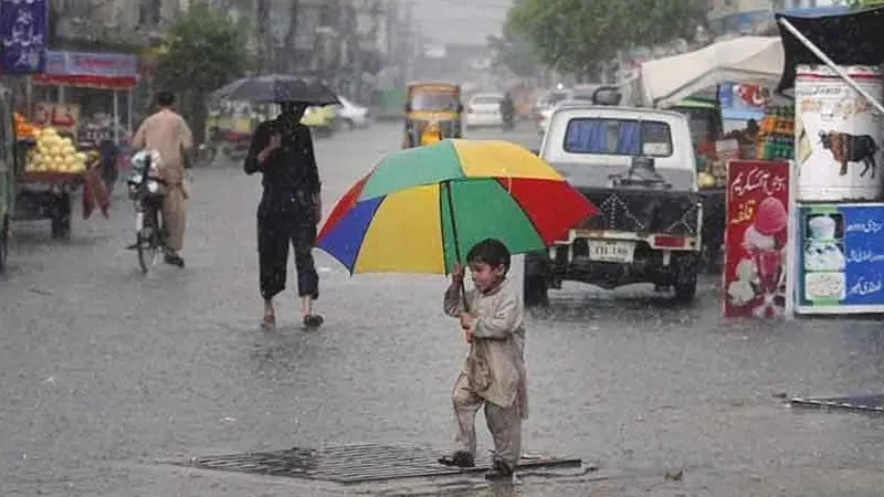 rain (6)