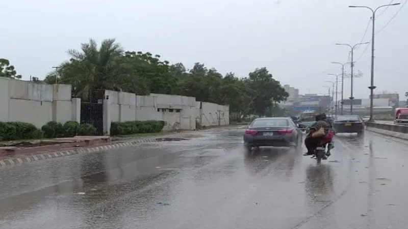 rainn