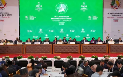 WTO members activate first-ever digital trade deal amid deadlock