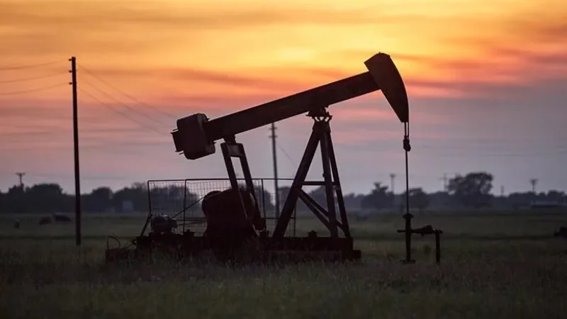 oil (3)