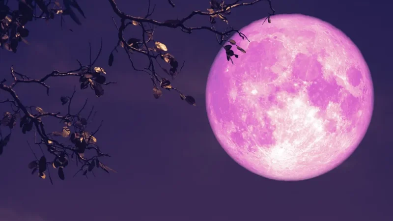Pink-Moon 2026