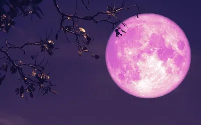 Pink Moon 2026: Spring’s dazzling night sky spectacle