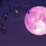 Pink Moon 2026: Spring’s dazzling night sky spectacle