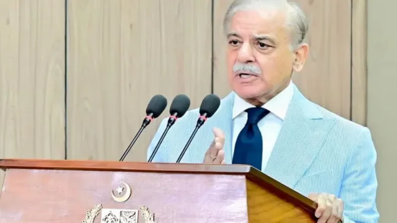 Hostile forces behind terrorism in Balochistan, KP, says PM - Balochistan, PM, Shehbaz Sharif