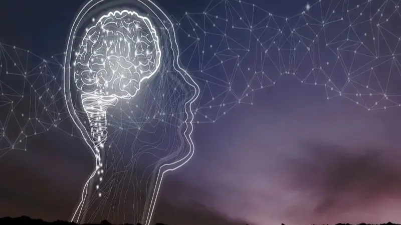 Meditation found to rapidly transform brain activity