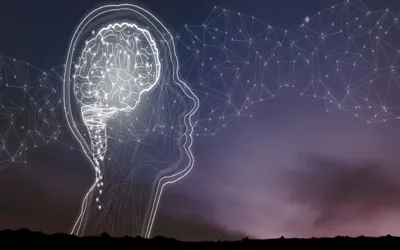 Meditation found to rapidly transform brain activity