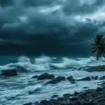Category 3 cyclone hits New Zealand