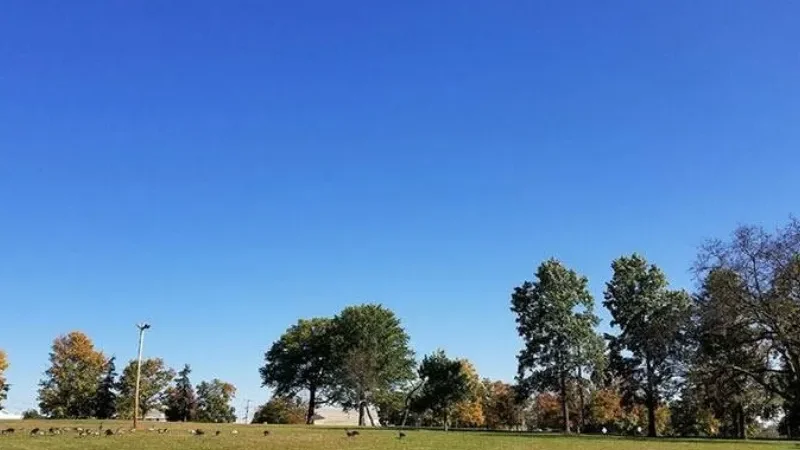 weather