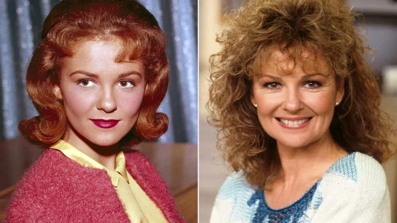 ‘Coach’ star Shelley Fabares dies at 82, co-star Nelson pays tribute
