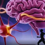 Physical work may carry different brain risks than exercise