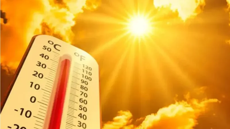 hot and humid