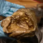 Alaska deep-sea “Golden Orb” mystery unlocked by researchers