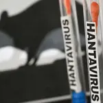 Here is how hantavirus spreads in humans