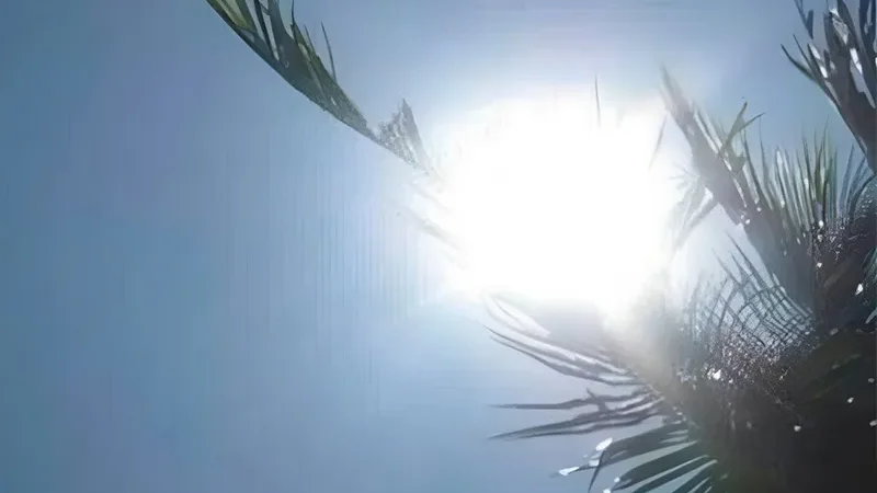 Hot-dry weather