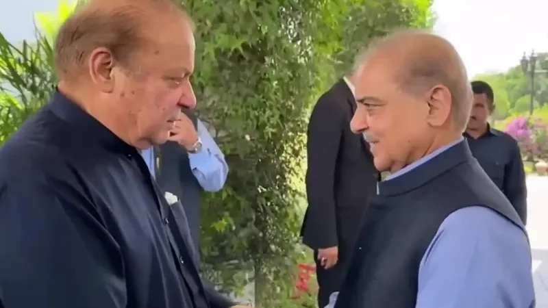 Meeting