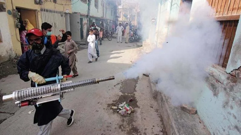Sindh reports 25% drop in Malaria cases this year