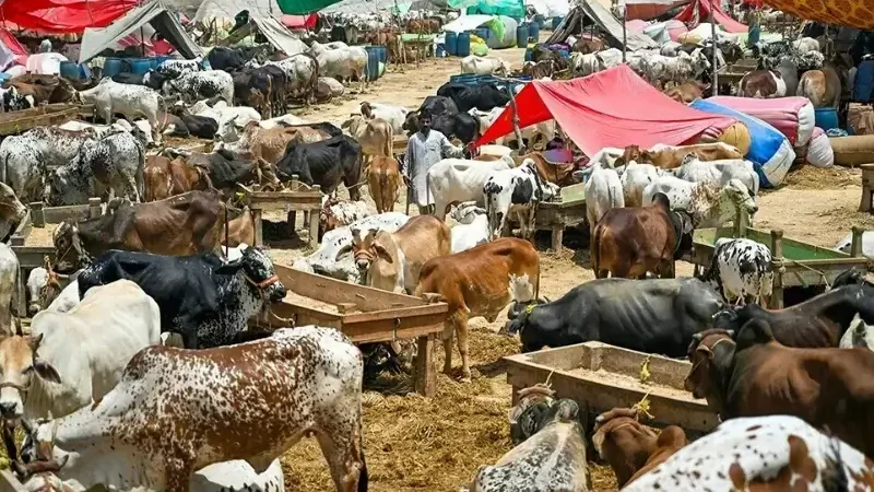 Eid-ul-Azha likely to fall on May 27: SUPARCO